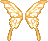 Yellow Cutiefly Wings