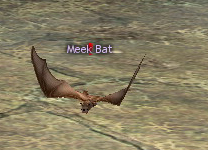 Meek Bat (Hardmode).jpg