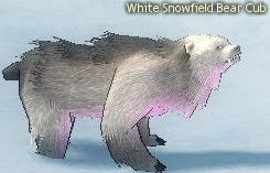 White Snowfield Bear Cub.jpg