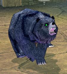 Blue Grizzly Bear.jpg